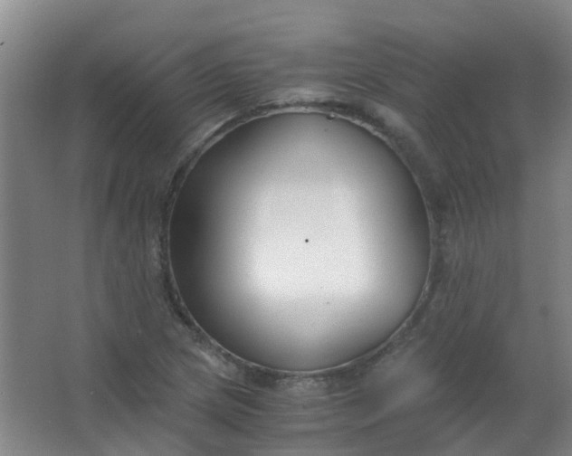 X0000063521217200602032101