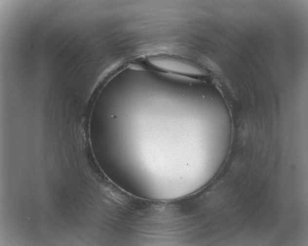 X0000063521218200602032101