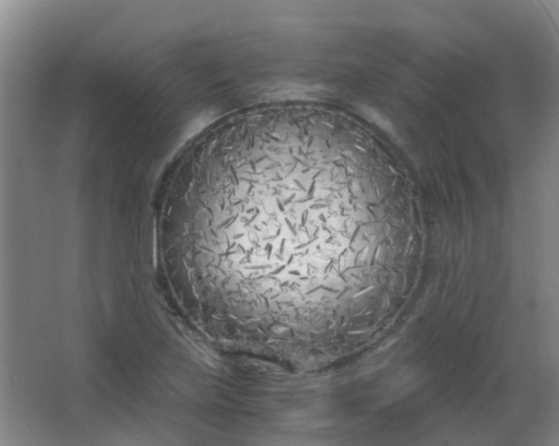 X0000063521219200602032101