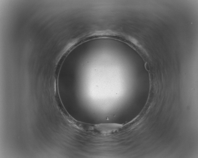 X0000063521221200602032101