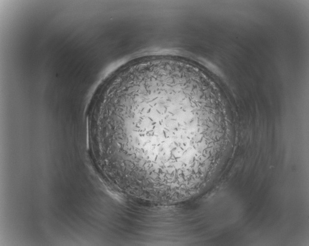 X0000063521223200602032101