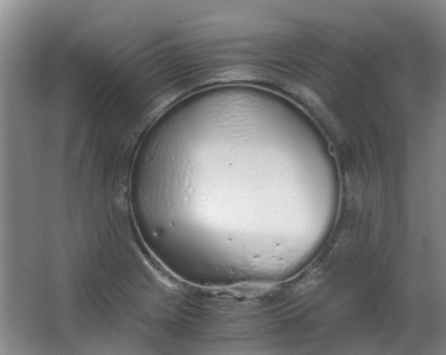 X0000063521225200602032101