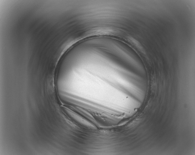 X0000063521226200602032101