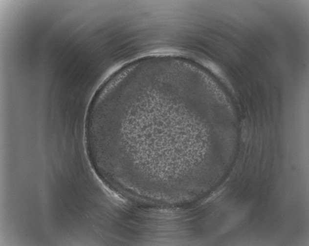 X0000063521229200602032101