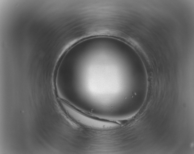 X0000063521230200602032101