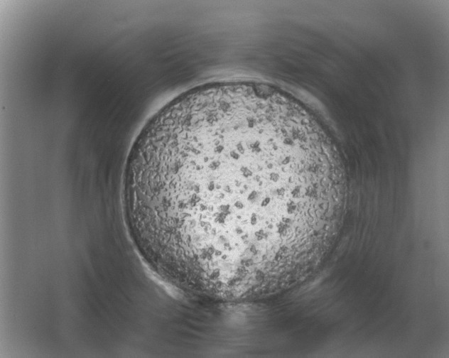 X0000063521231200602032101