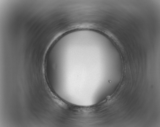 X0000063521232200602032101