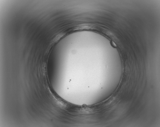 X0000063521233200602032101