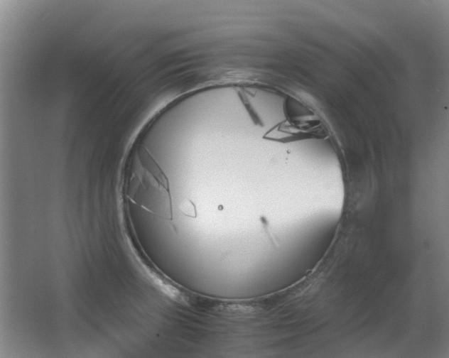 X0000063521235200602032101