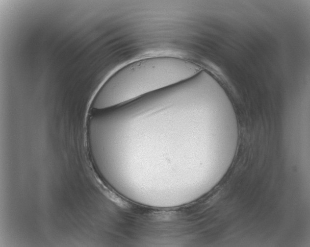 X0000063521236200602032101