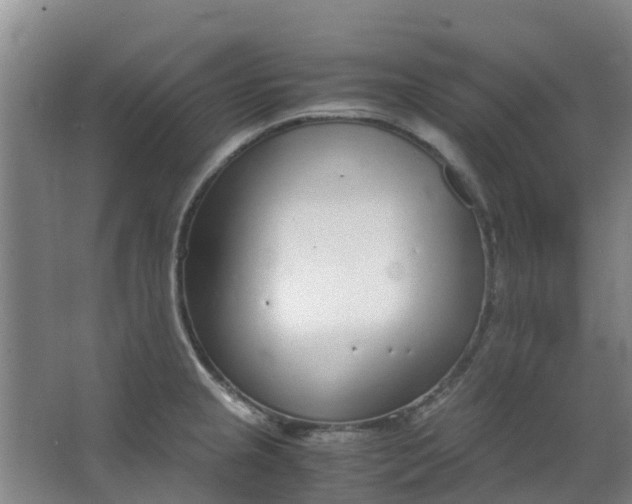 X0000063521237200602032101