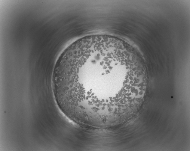 X0000063521239200602032101