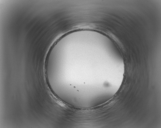 X0000063521240200602032102