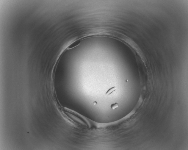 X0000063521242200602032102