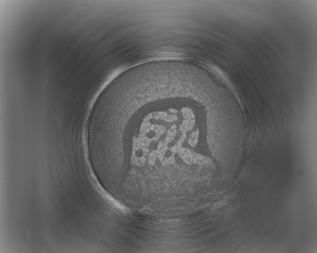 X0000063521243200602032102