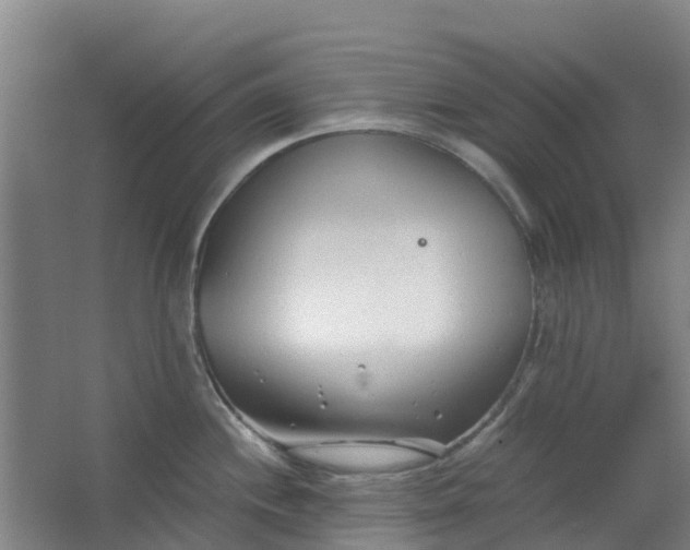 X0000063521244200602032102