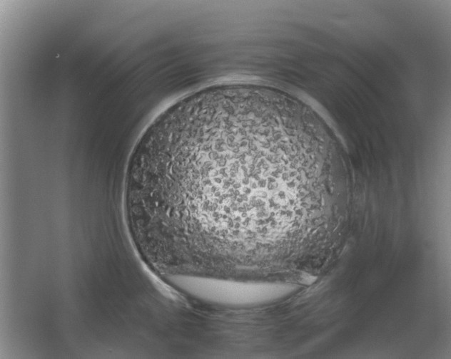 X0000063521245200602032102