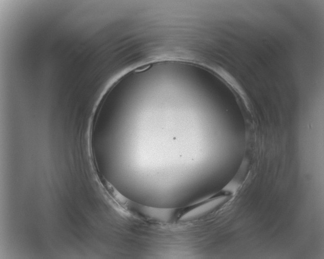 X0000063521246200602032102