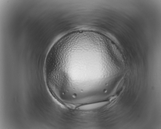 X0000063521247200602032102