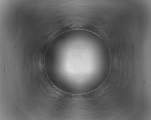 X0000063521250200602032101