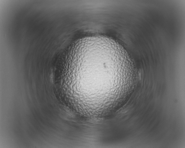 X0000063521251200602032101