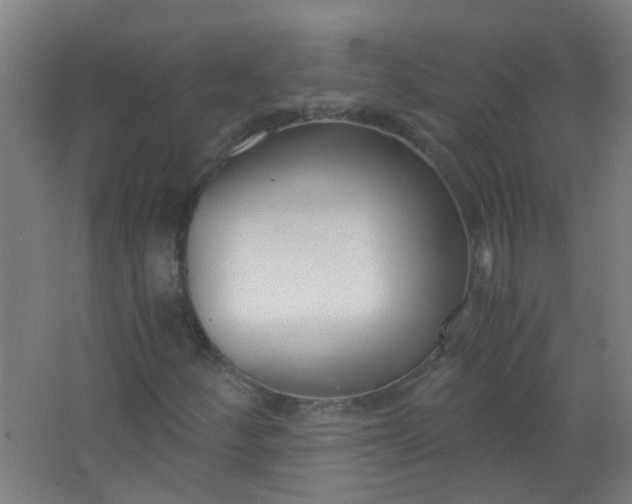 X0000063521252200602032101