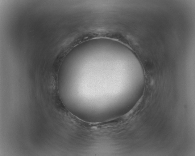 X0000063521253200602032101