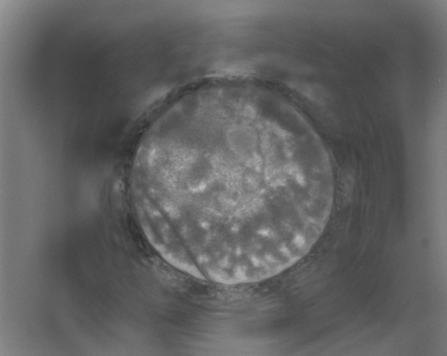 X0000063521254200602032101