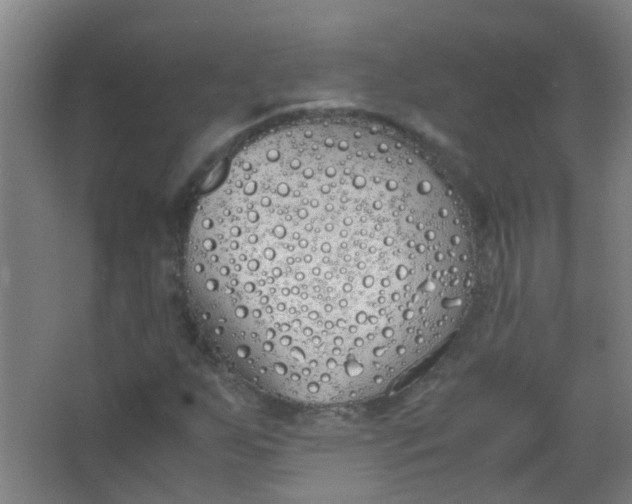 X0000063521255200602032101