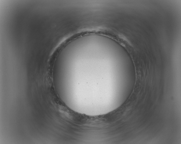 X0000063521256200602032101