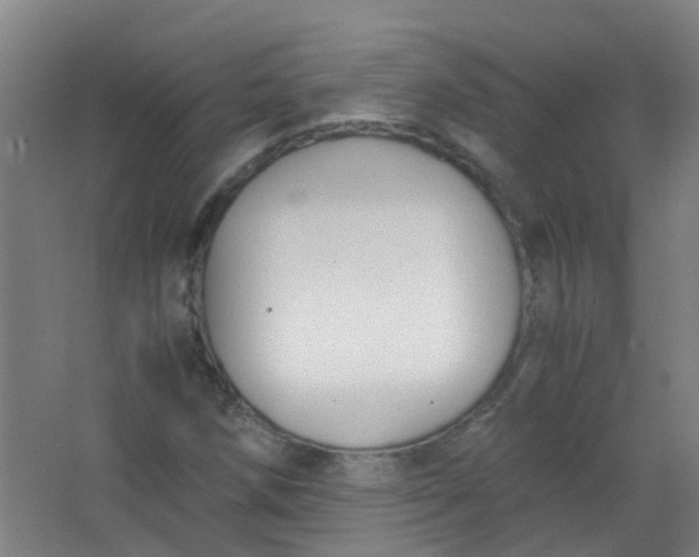 X0000063521258200602032101