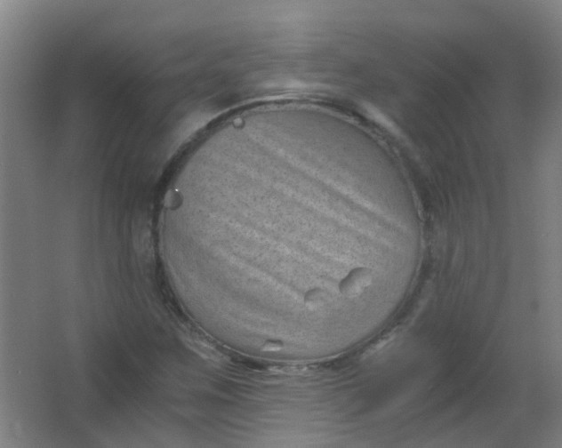 X0000063521259200602032101