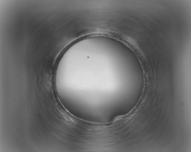 X0000063521260200602032101