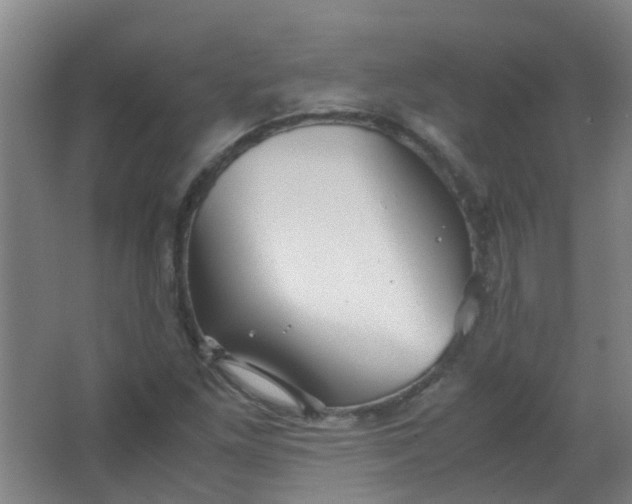 X0000063521261200602032101