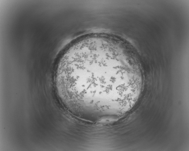 X0000063521263200602032101