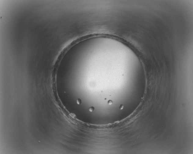 X0000063521264200602032101