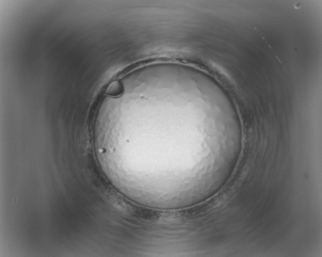 X0000063521267200602032101