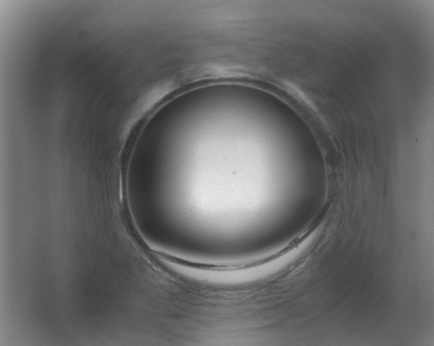 X0000063521269200602032100