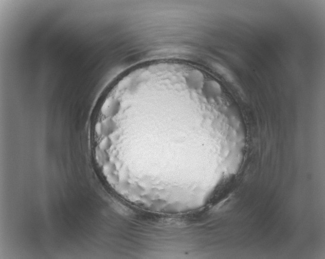 X0000063521275200602032100