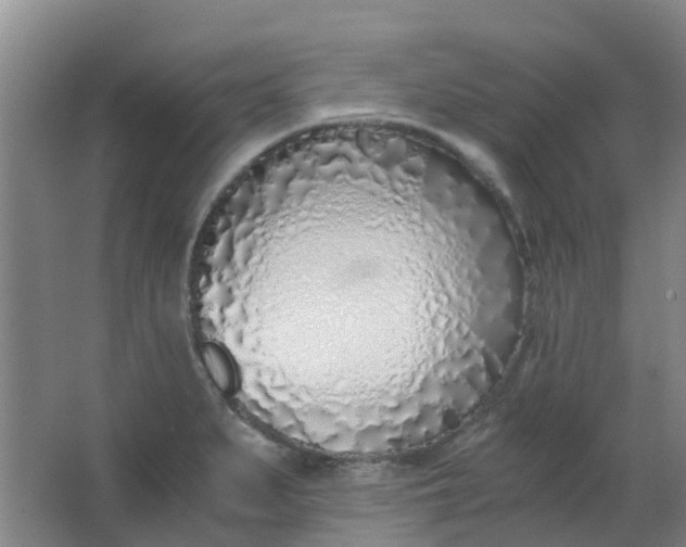 X0000063521279200602032100