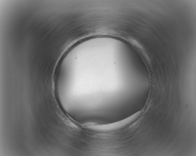 X0000063521280200602032100