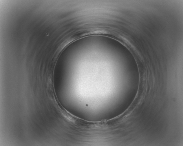 X0000063521281200602032100