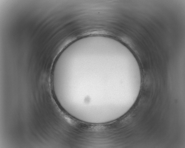 X0000063521282200602032100