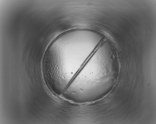 X0000063521283200602032100