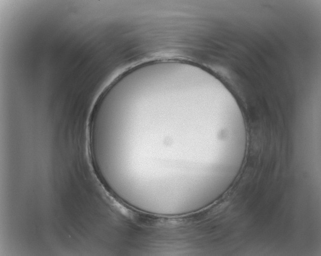 X0000063521286200602032100