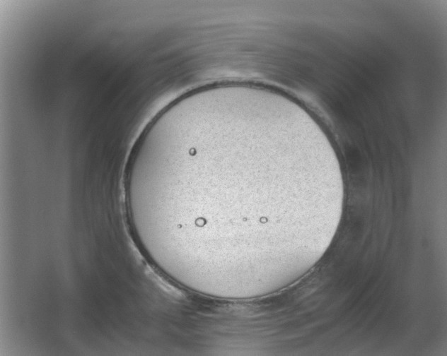 X0000063521287200602032100