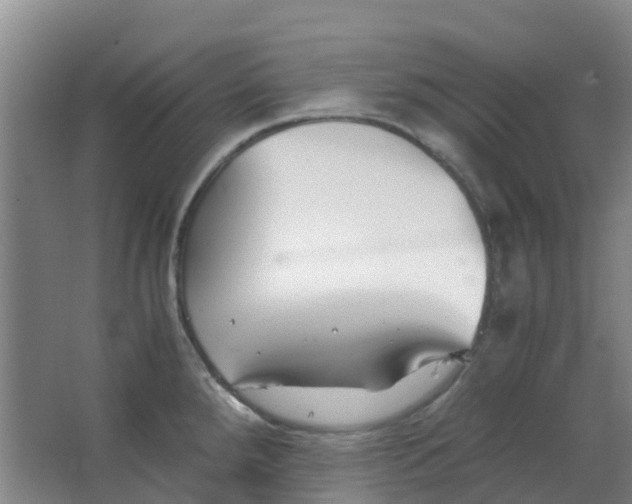 X0000063521288200602032100