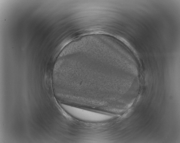 X0000063521289200602032100