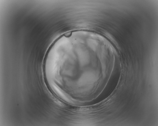 X0000063521291200602032100