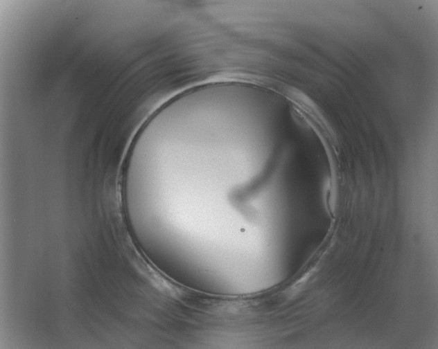 X0000063521292200602032100